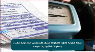 كيفية معرفة فاتورة الكهرباء لشهر أغسطس 2025 برقم العداد بخطوات إلكترونية بسيطة